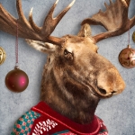 Ihr Weihnachtsanlass
